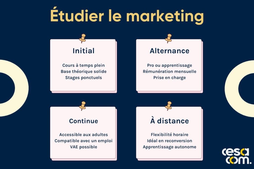 Comment étudier dans le marketing