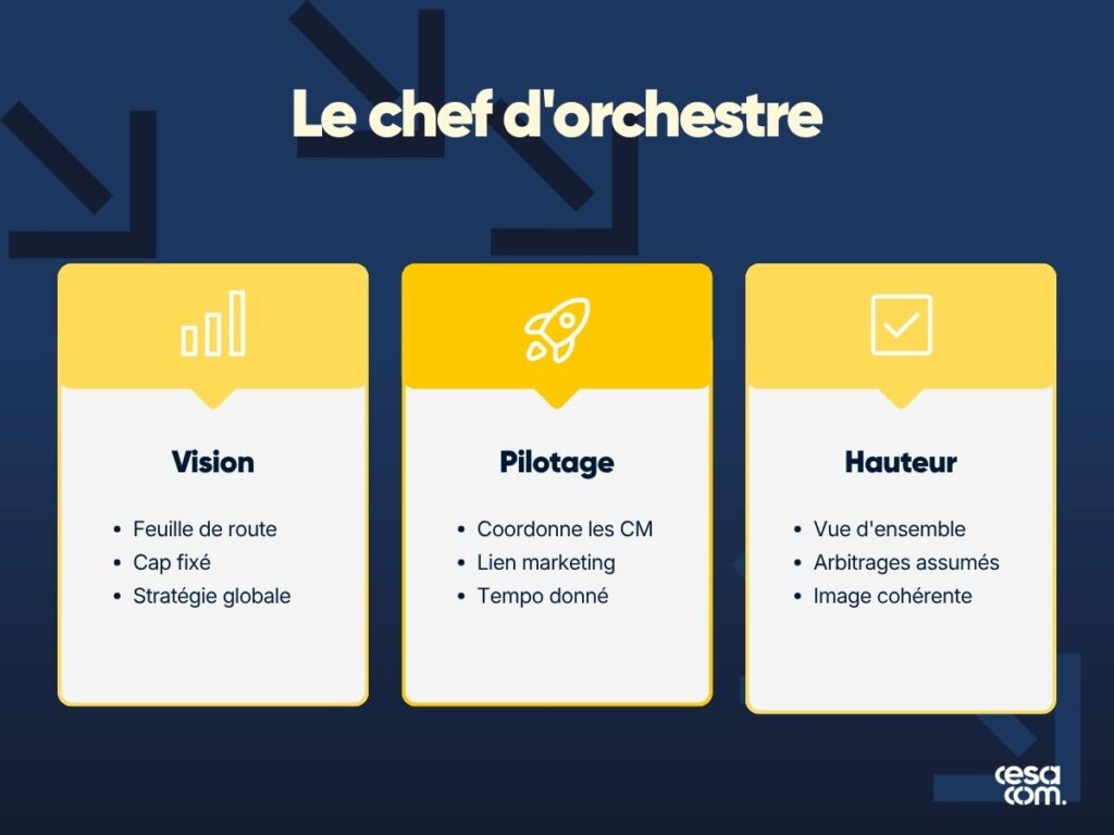 Social media manager : piloter la stratégie social media d'une marque