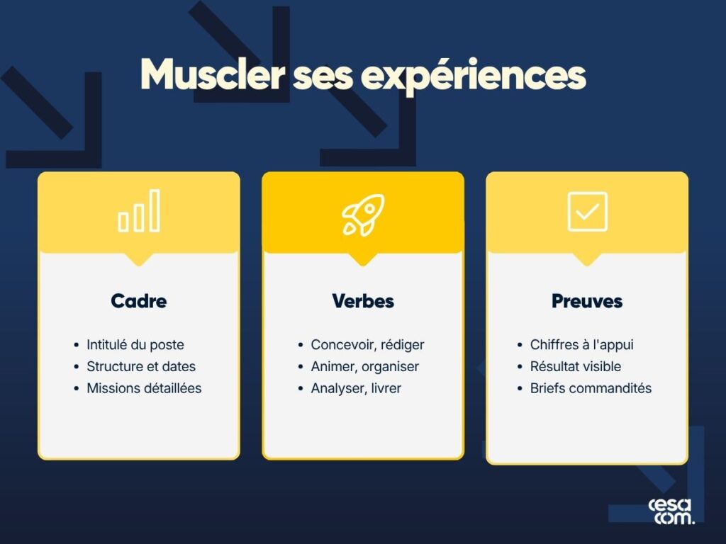 Muscler ses expériences sur son cv alternance communication