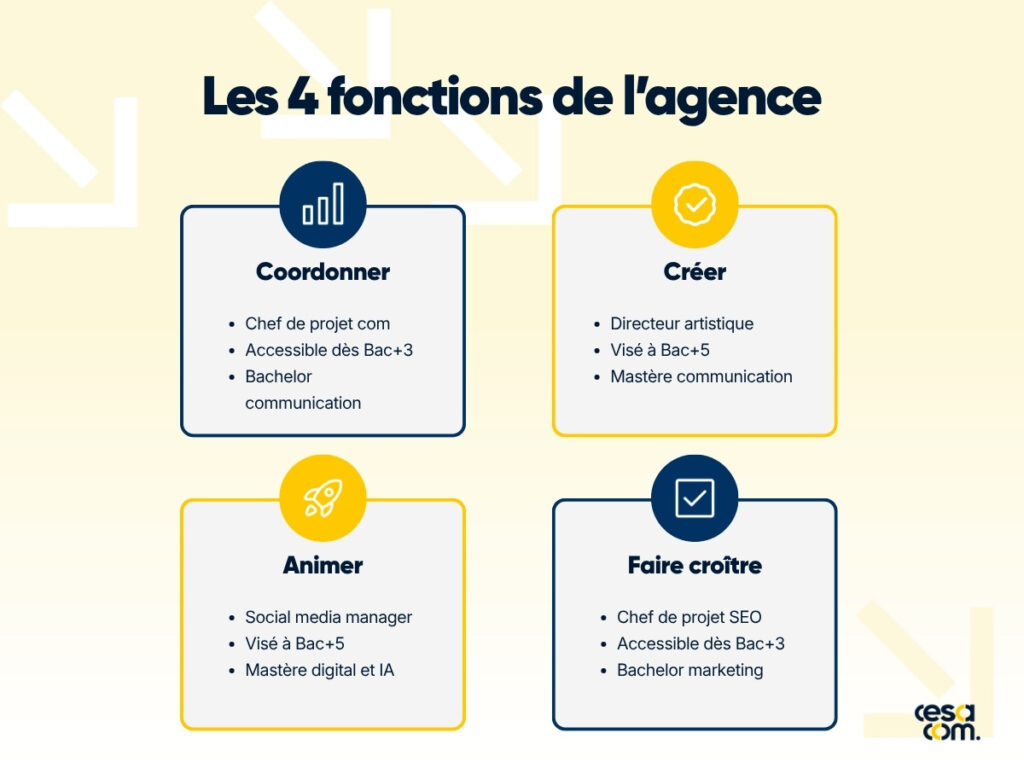 Les quatre fonctions d’une agence de communication, avec pour chacune un poste, son niveau d’études et la formation du Cesacom
